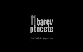 11 barev ptáčete