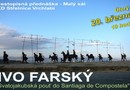 Foto-234