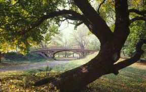 Obrázky z New Yorku