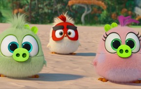 Angry birds ve filmu 2