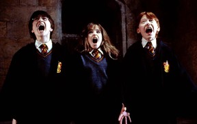 Harry Potter a kámen mudrců