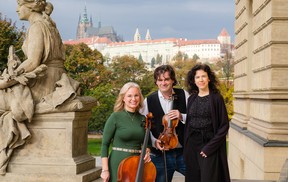 Halíř trio