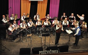 PODZVIČINKA