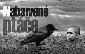 Nabarvené ptáče