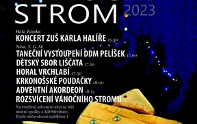 Vánoční strom