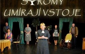 Stromy umírají vstoje