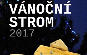 Rozsvícení vánočního stromu