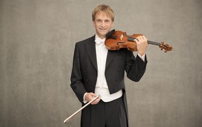 Wolfram Brandl / housle